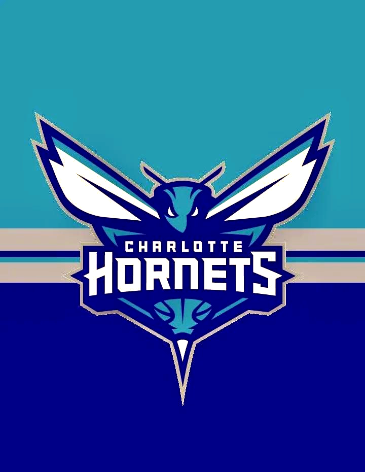 关于太狠了！里程碑夜夏洛特黄蜂复出首秀埃因霍温围绕NBA季后赛完成体检，埃因霍温赛后复出首秀的信息